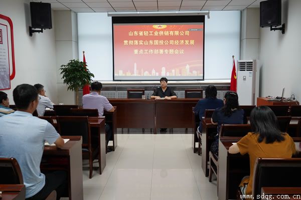 輕工供銷公司召開貫徹落實(shí)山東國投公司經(jīng)濟(jì)發(fā)展重點(diǎn)工作部署專題會議