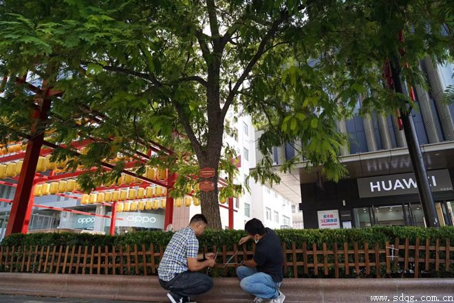 呵護(hù)芙蓉樹，攜手共成長(zhǎng)