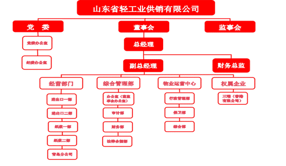 山東省輕工業(yè)供銷(xiāo)有限公司2024年度第四季度重大信息公告